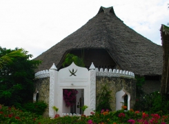 Zanzibar Gallery 8