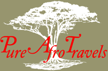 PURE AFRO TRAVELS, Safari, Trekking & Beach Holiday Outfitter in Tanzania, East Africa