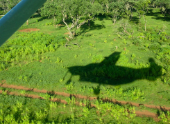 1.-Distinctly-Boutique-image