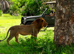 1a.-Distinctly-Boutique-column-1