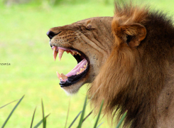 2.-Distinctly-Boutique-image