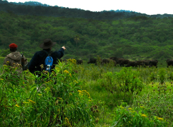 Hike-Drive-1day-Safari-1