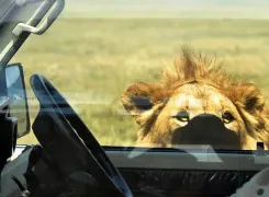 North-Circuit-Express-5-day-Safari-2-edited