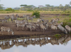 Northern-Circuit-slider-1