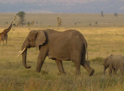 Northern-Circuit-slider-2