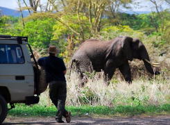 Tracking-down-elephants-day-Safari-2-edited-1