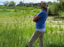 Type-of-Safari-4b-edited