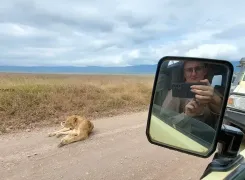 lioness-on-the-road-inside-the-Ngorongoro-Crater