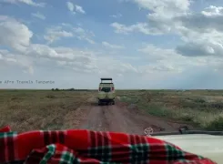 Pure Afro Travels 4x4 safari vehicle in the Serengeti