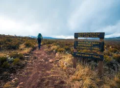 Kilimanjaro-shira-platou