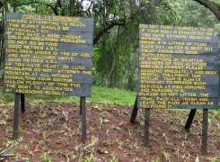 Trekking Gallery 21