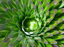 Trekking-Marangu-Route-2