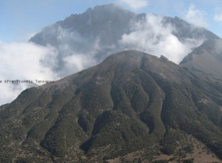 meru1-edited