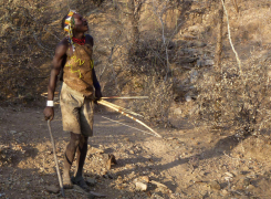 Bush-Experience-4-day-Safari-3-edited-1