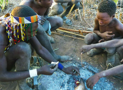 Bush-Experience-4-day-Safari