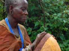 Type-of-Safari-2-edited