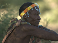 tribe-of-the-lady-boss