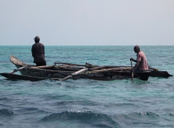 Zanzibar Gallery 1