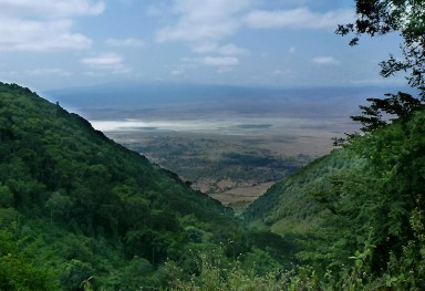 Ngorongoro Direct