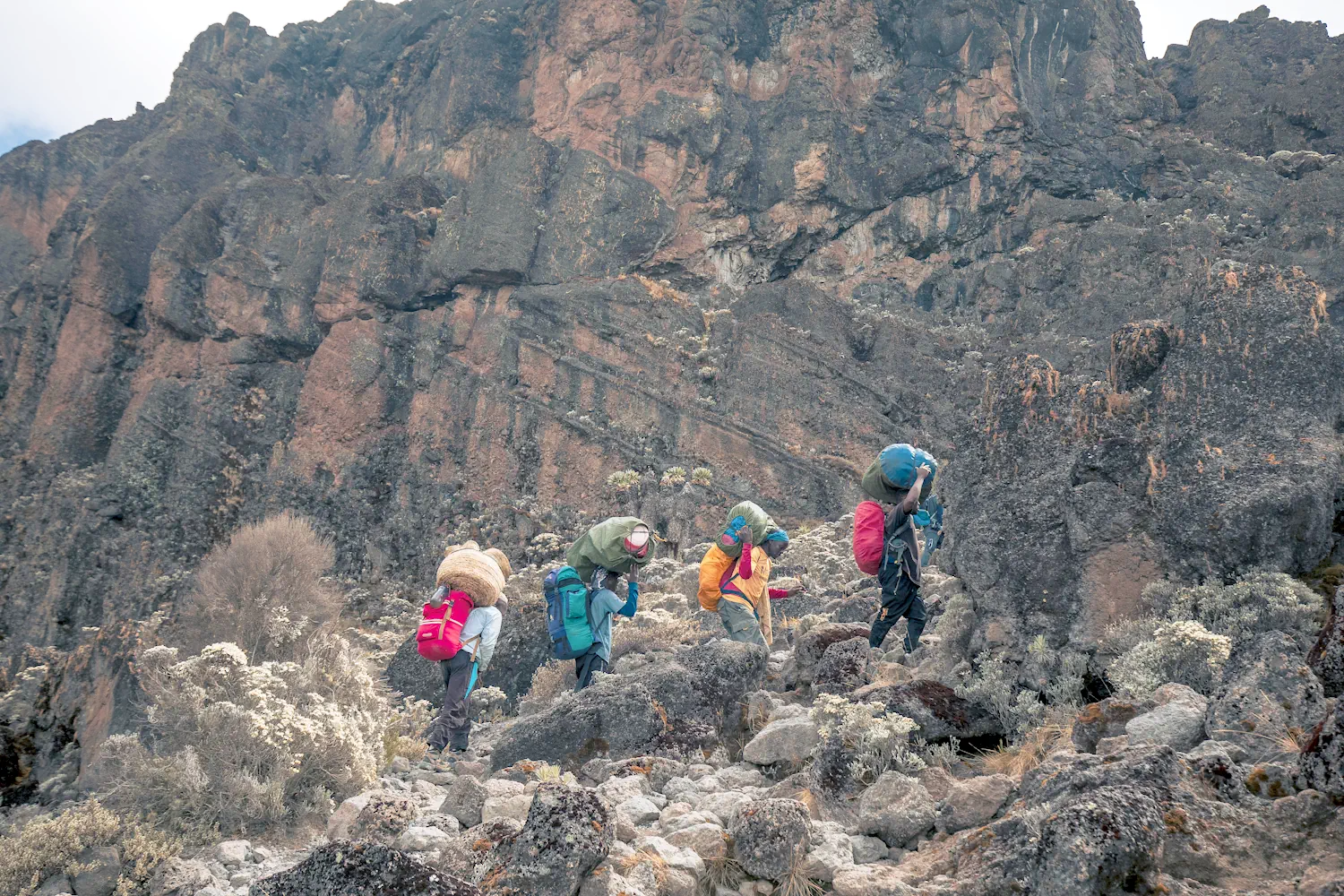 Crew carrying equipment through Lava Tower, Kilimanjaro