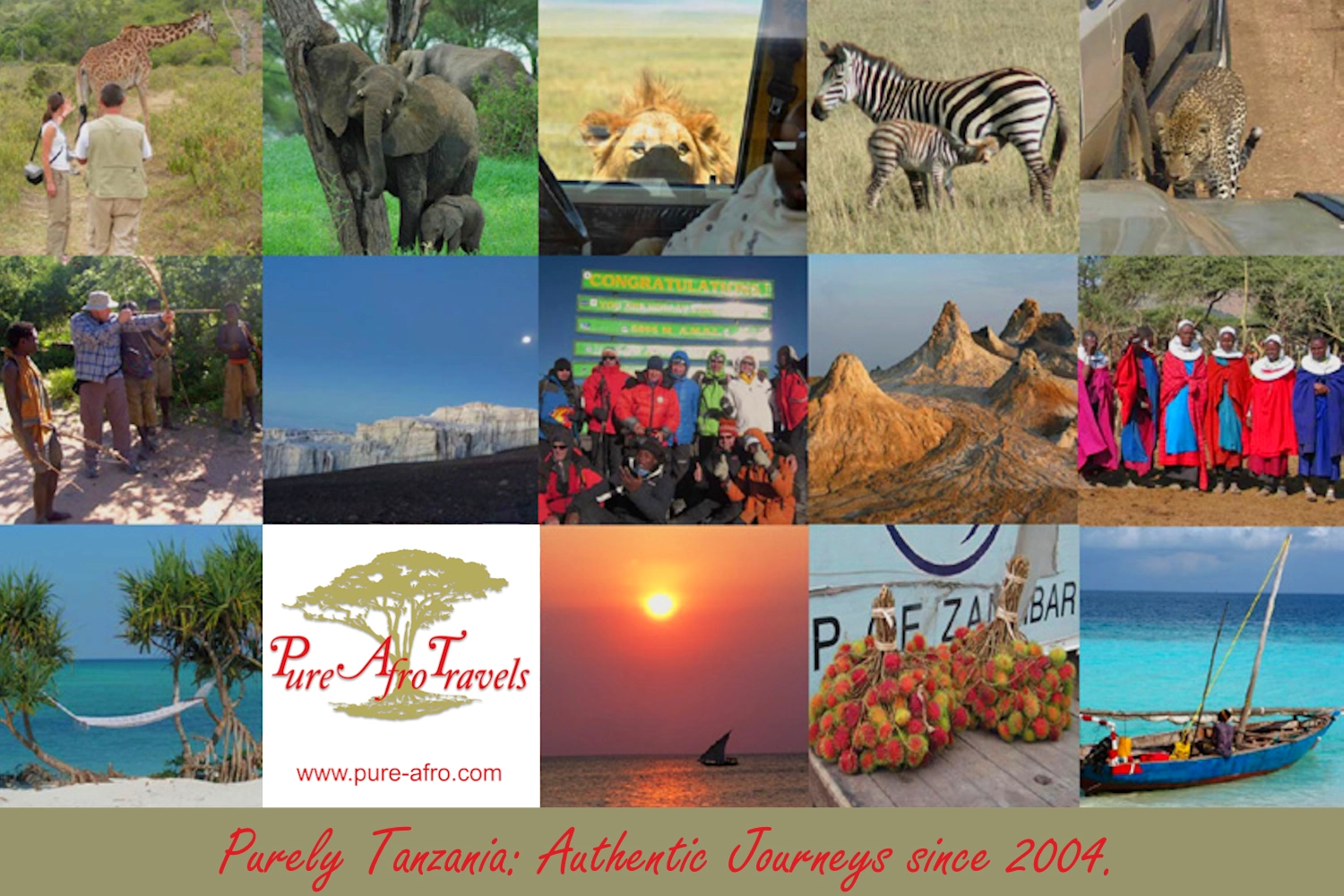 Pure Afro Travels postcard - Purely Tanzania: Authentic Journeys since 2004.