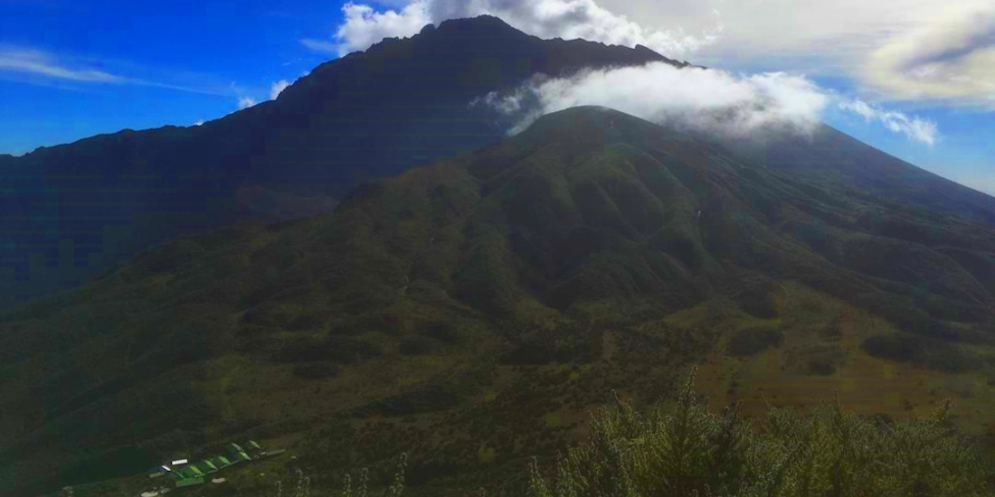 Forest trail near Miriakamba Hut, Mount Meru, Arusha National Park